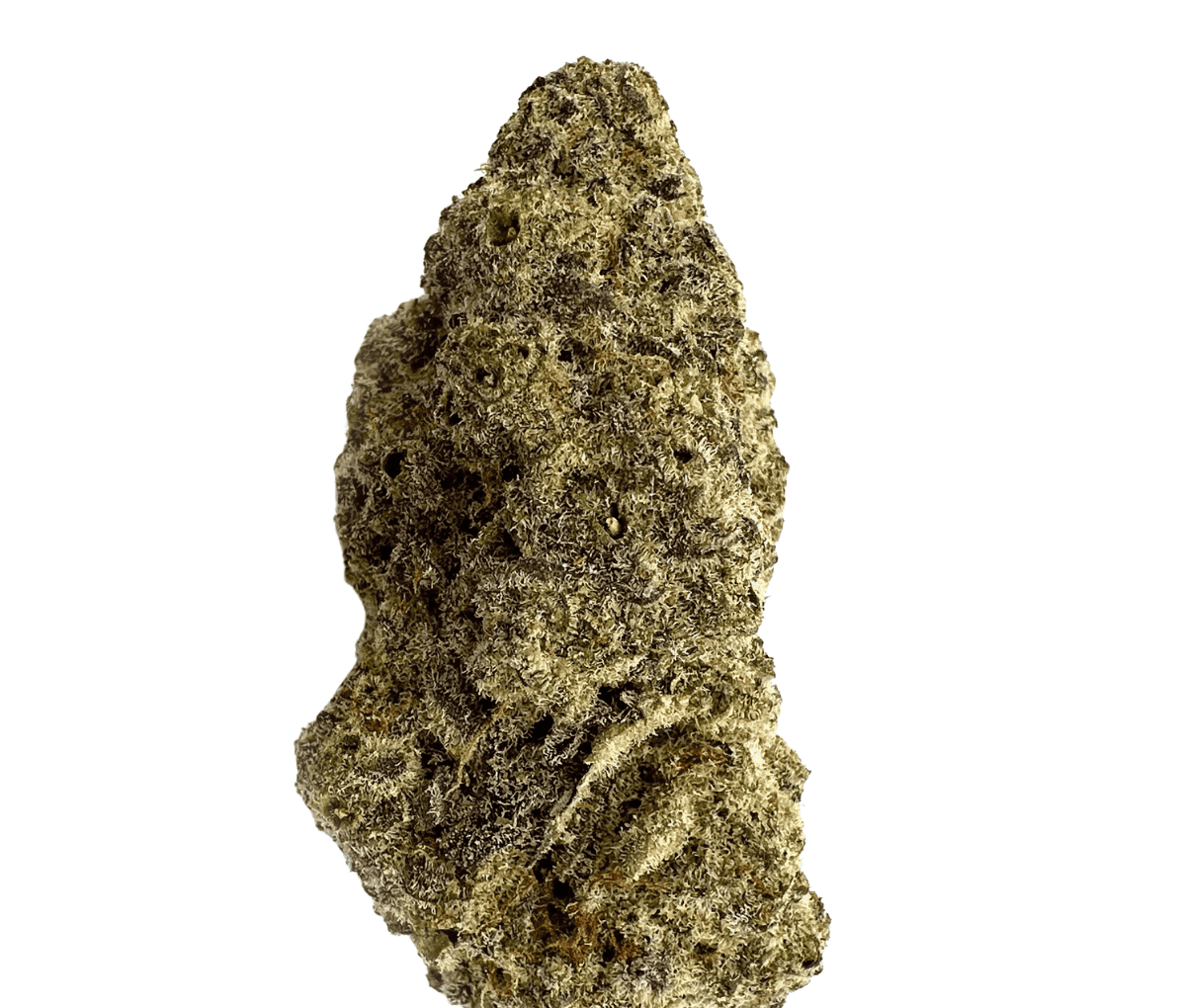 MAC 1+ - Miracle Alien Cookies