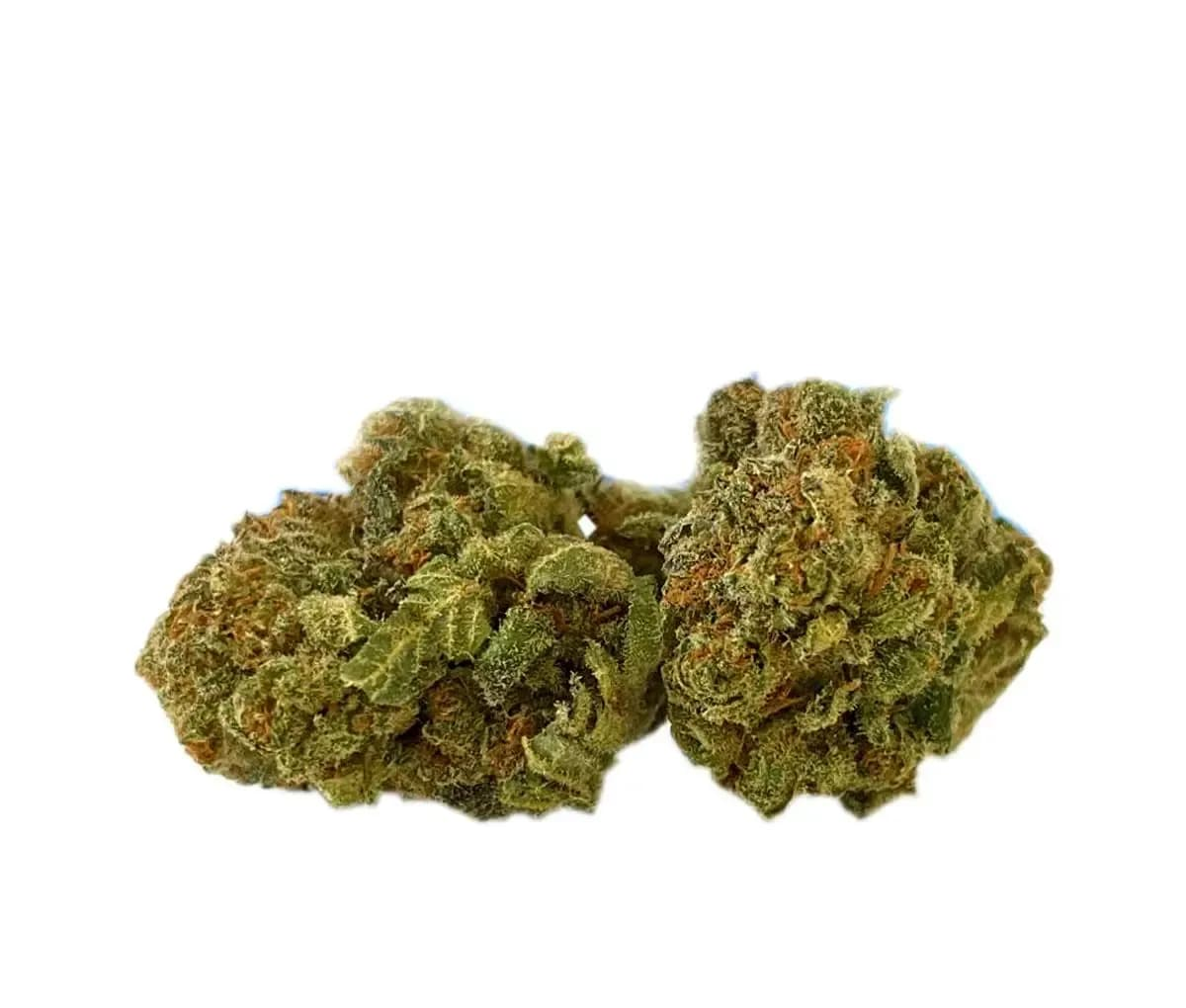 Tilray THC10:CBD10 Warlock No. 2 - Warlock CBD
