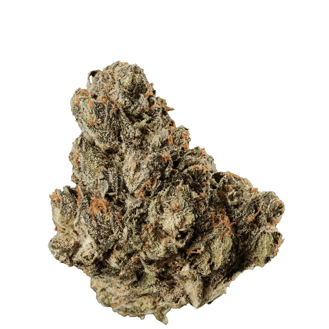 420 Compound 18/1 CA GAG Glaced Apricot Gelato