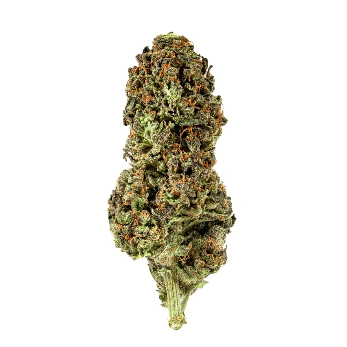Galaxia Organic Living Soil WRM 15/1 - White Runtz x Mintz