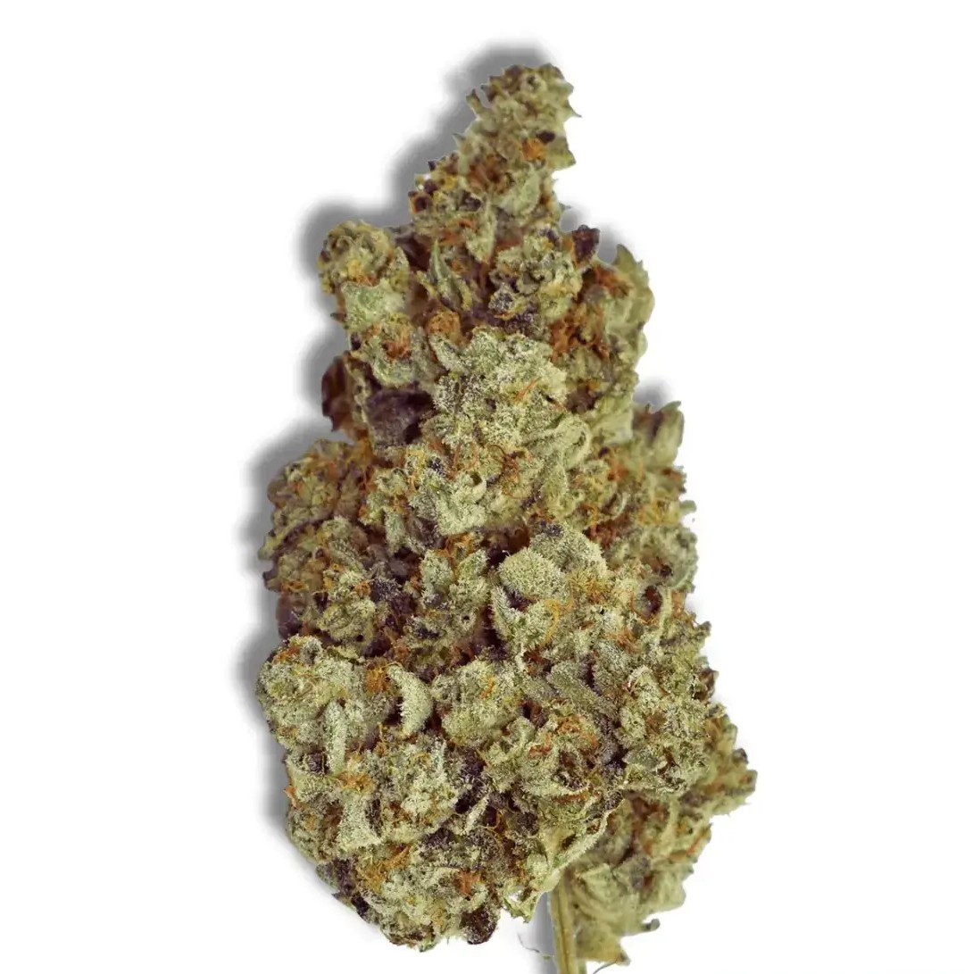 Herbery SC 26:01 Banana Cream