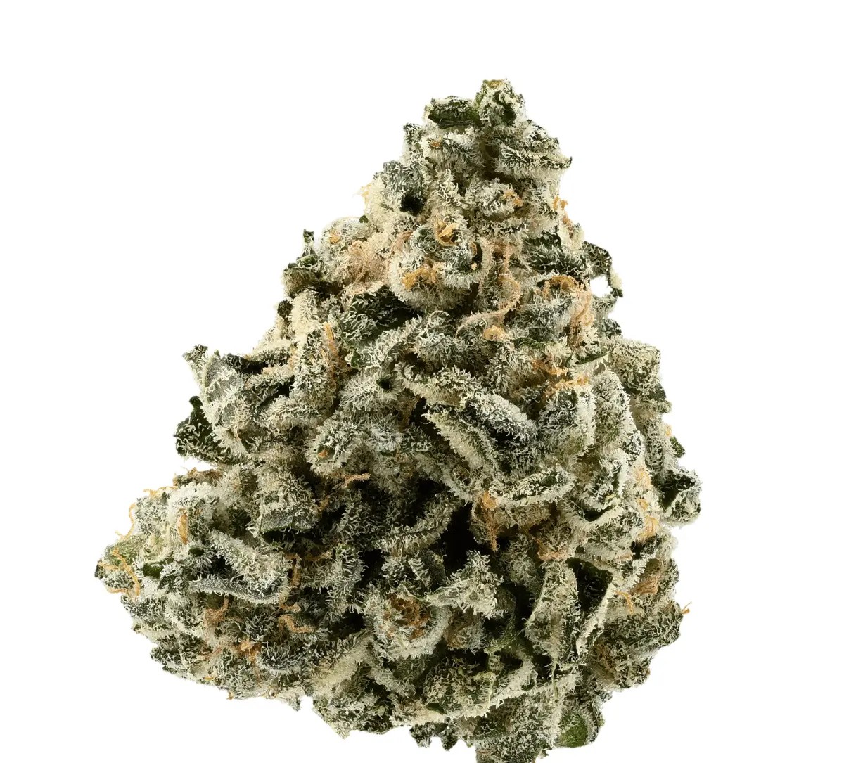 Demecan Core Moonbow 23/1 Demecan Core Moonbow 23/1