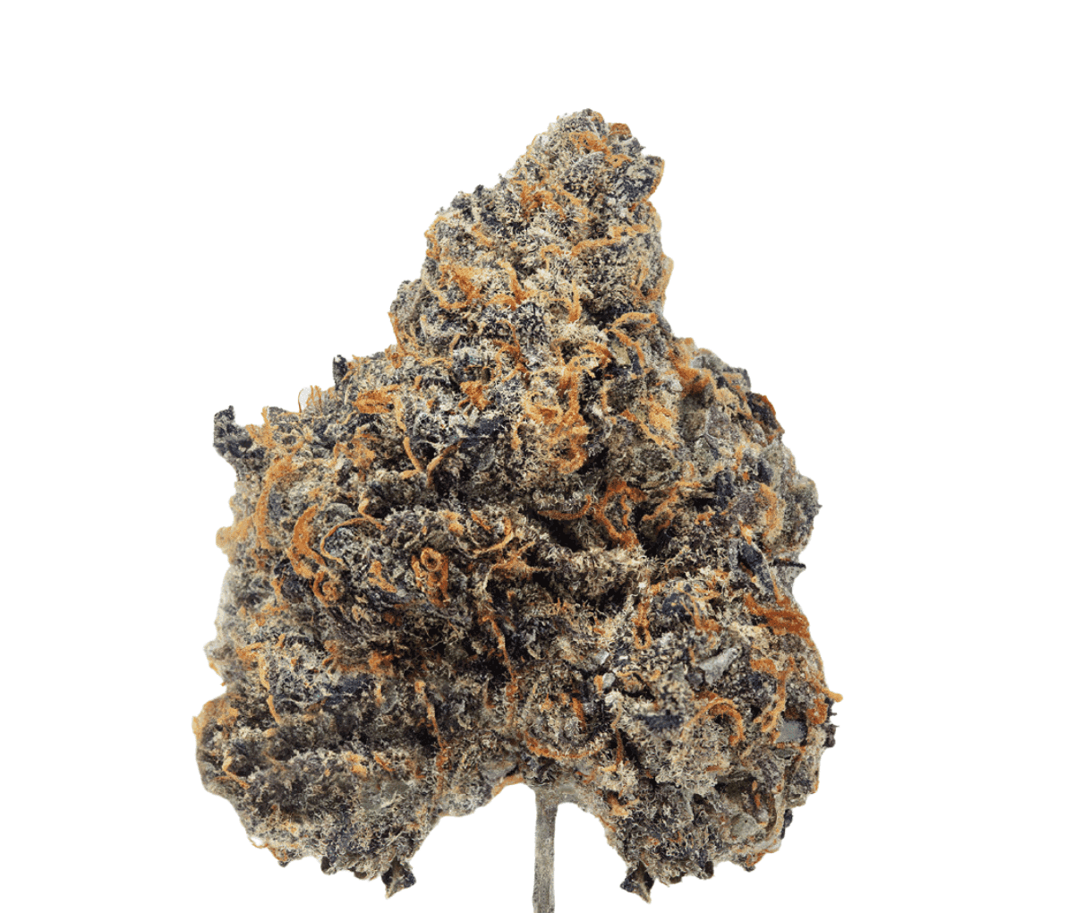 Craft Botanics 27/1 - Gelonade