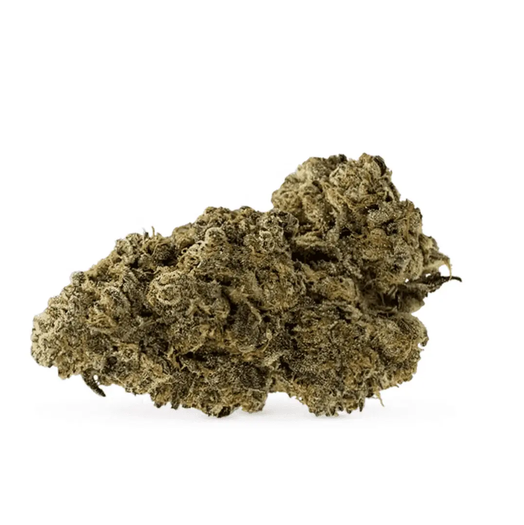 Remexian 30/1 GCC GUB - Guava Bars