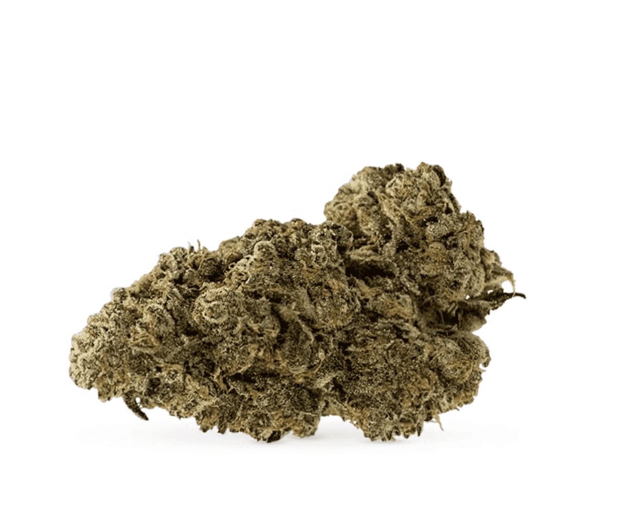 Remexian 30/1 GCC GUB - Guava Bars