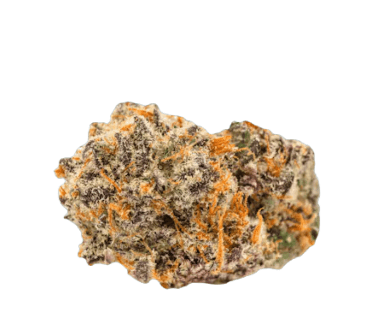 Remexian 30/1 CIV BOB -Booberry Cookies