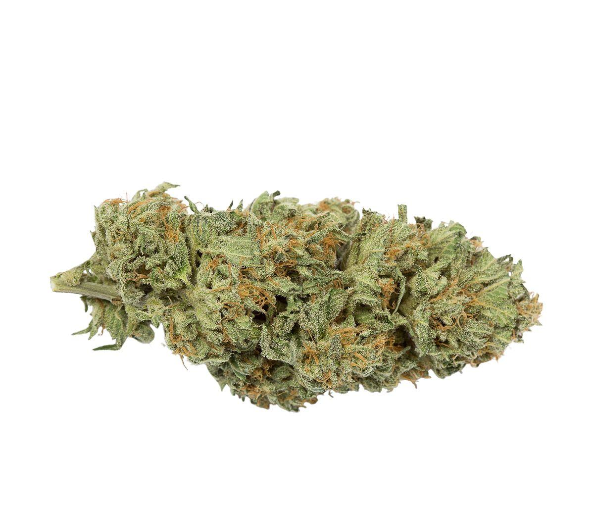 Medizinal-Cannabisblüten Typ 1 DEMECAN 21:01 [Bubba Kush]