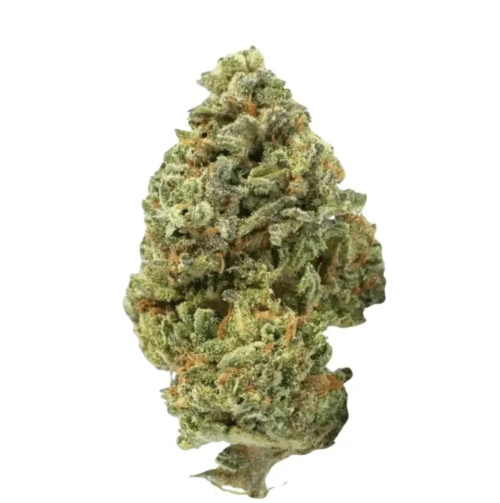 420 Evolution 20/1 CA LCG Lemon Cherry Gelato - Sunset Sherbert x Girl Scout Cookies