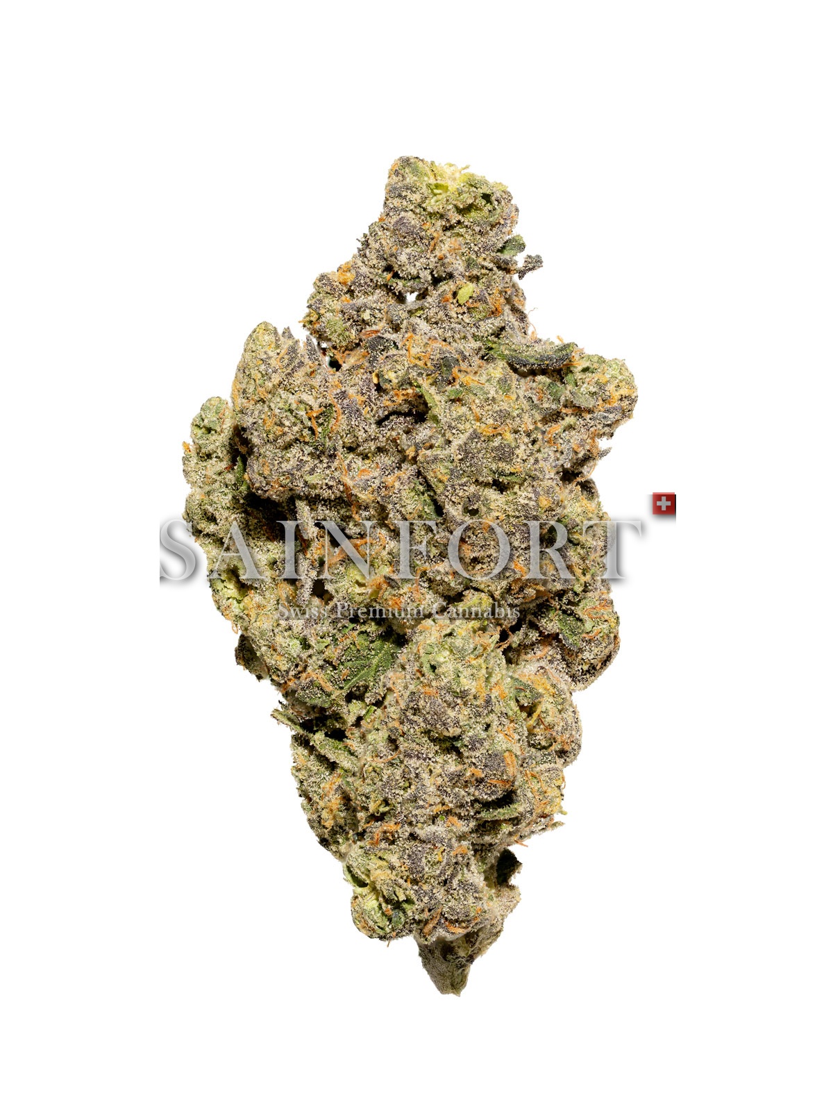 Sainfort ANB 24/1 CH - Apples & Bananas
