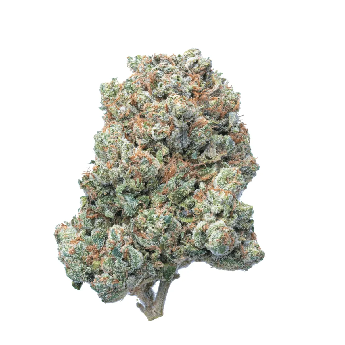 Peace Naturals 31/1 OK - OG Kush Peace Naturals 31/1 OK - OG Kush