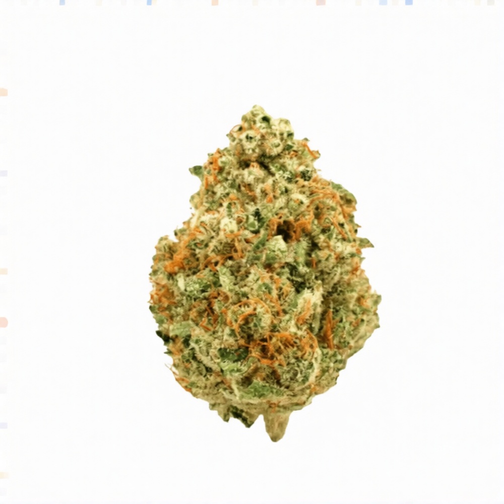 Medical Saints 18/1 PSY - Psyclone Medical Saints 18/1 PSY - Psyclone