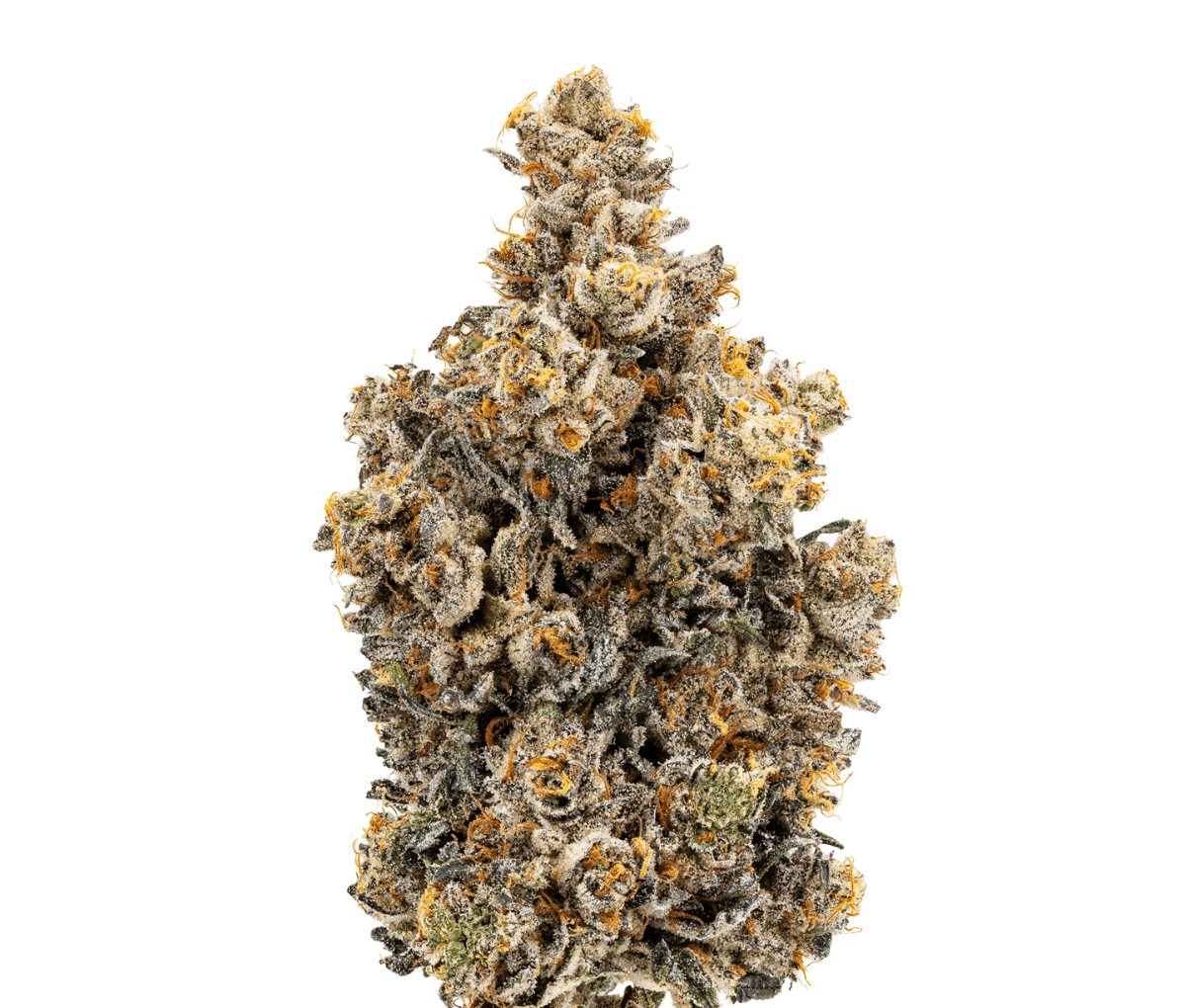 28/1 IUVO OC Rainbow Chip 28/1 IUVO OC Rainbow Chip