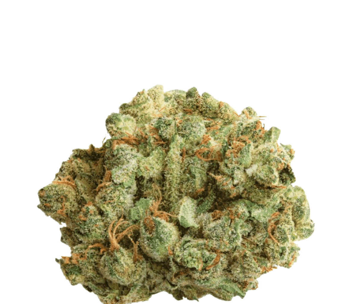 N!CE 27/1 Cannabisblüten CB - Cocoa Bomba
