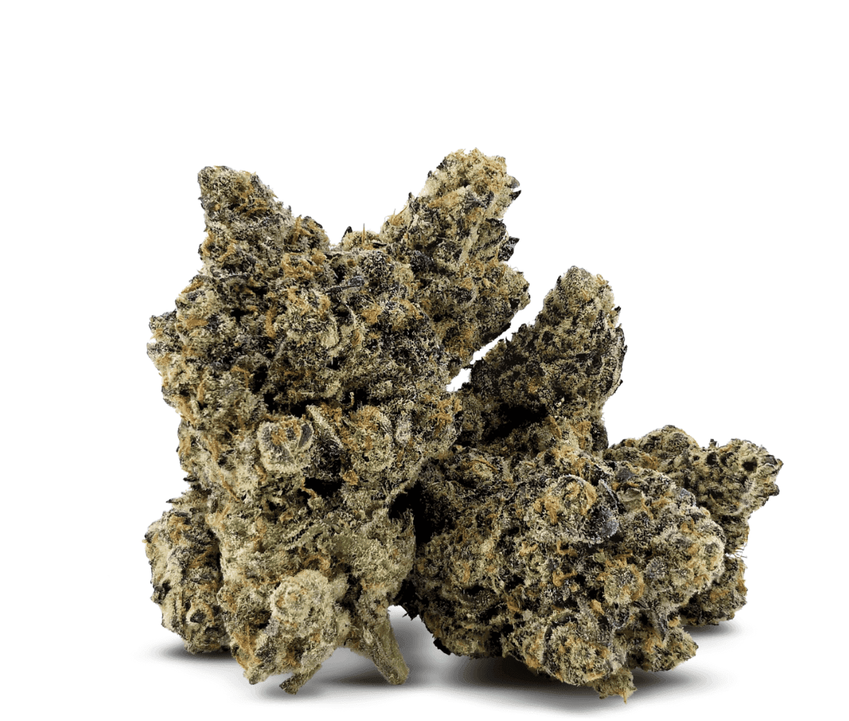 20/1 IUVO OC Lazer Fuel