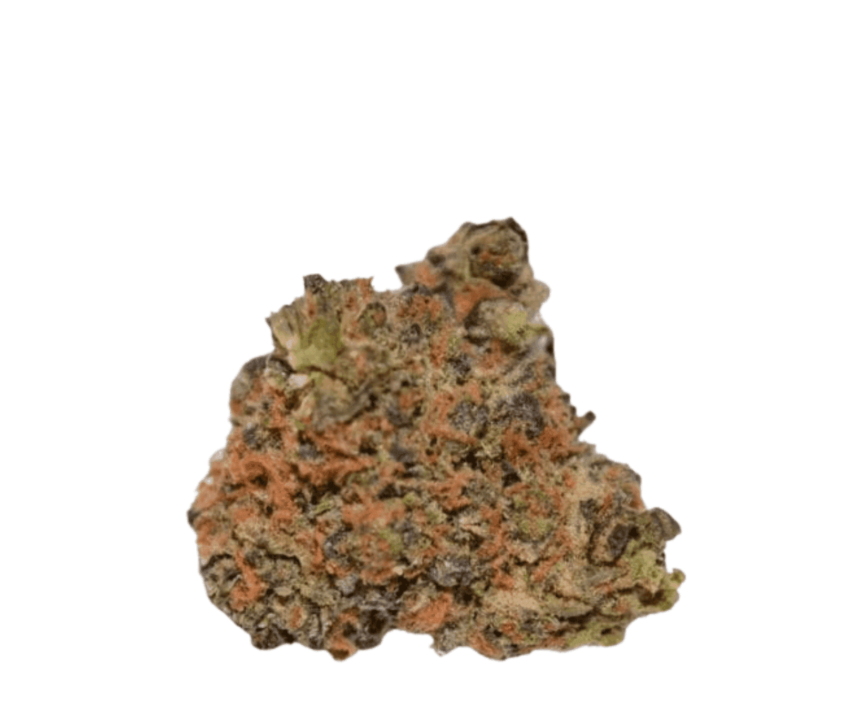 Medicus 27/1 YAR SUD - Super Dossi Medicus 27/1 YAR SUD - Super Dossi