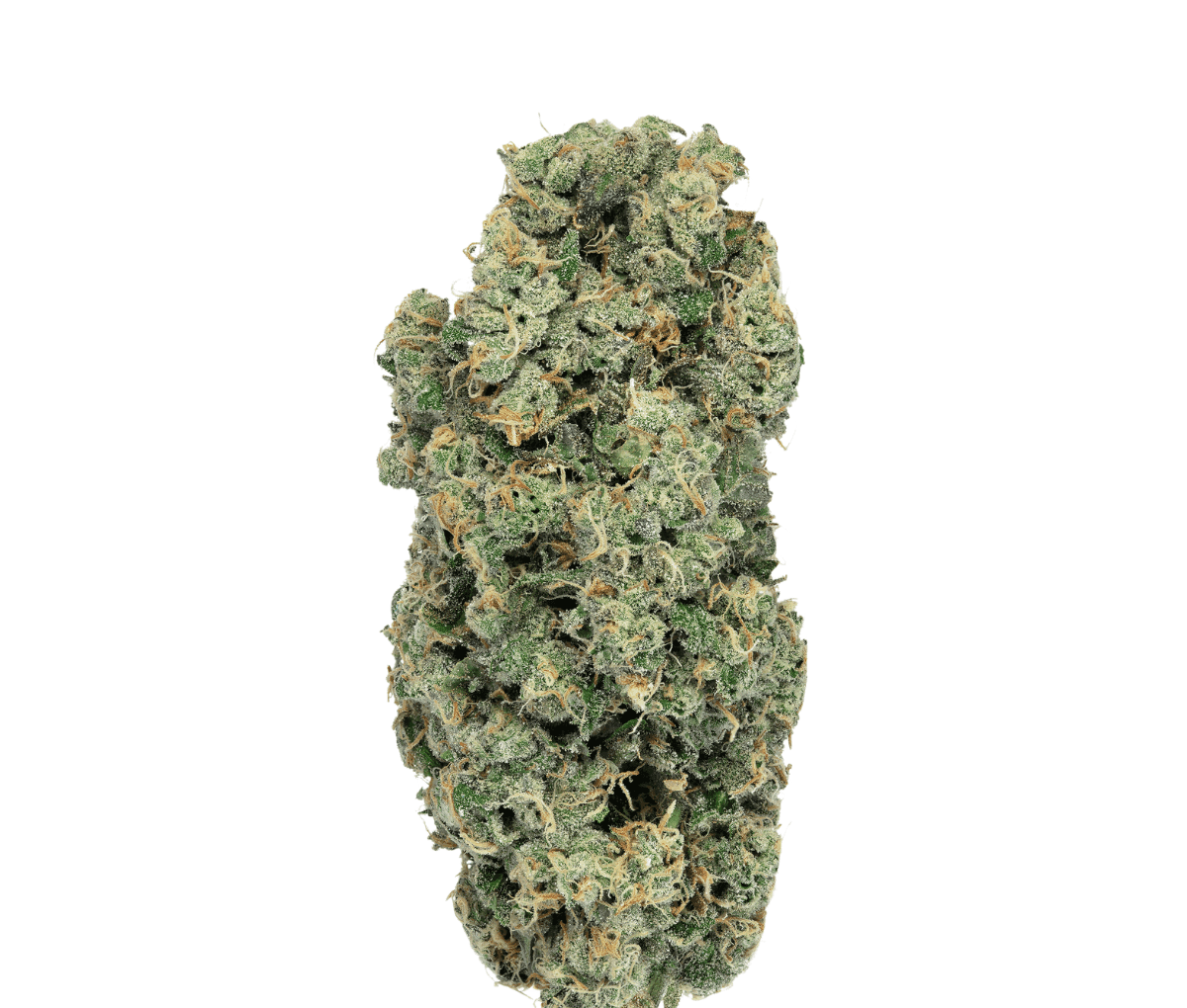 CNBS SPZ 31/1 - Spritzer