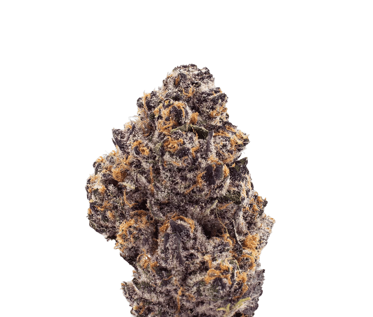 20/1 The BC Green T7 - Tribute 7 20/1 The BC Green T7 - Tribute 7