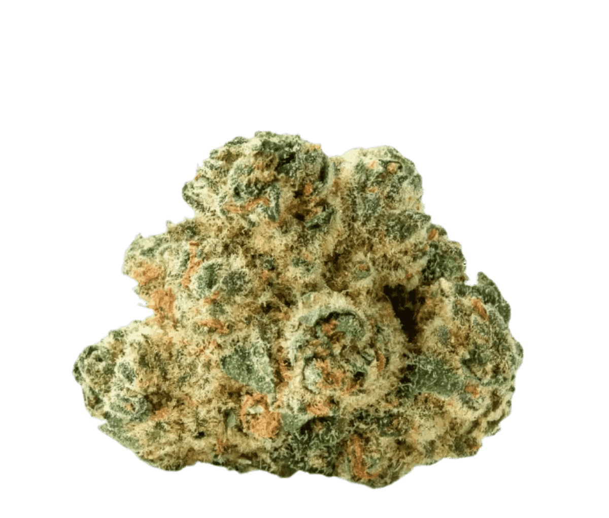 Cookies 2.0 Cereal Milk 26/1 CAN CM