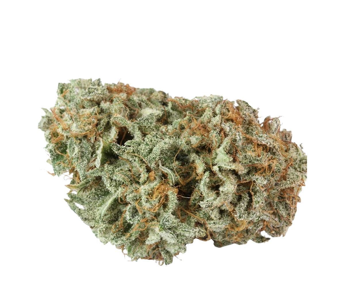 LIT 29/1 MKU - Master Kush