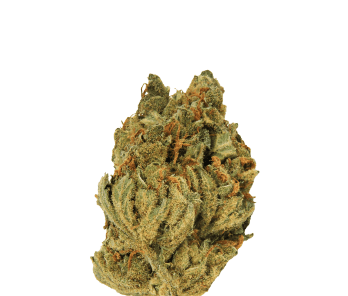 Organic Sweetgrass JJ 25/1 - Juicy J