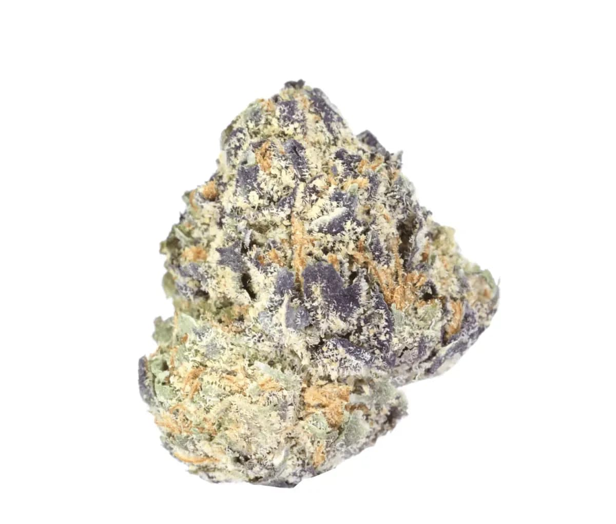 Vasco WR 18/1 - White Runtz