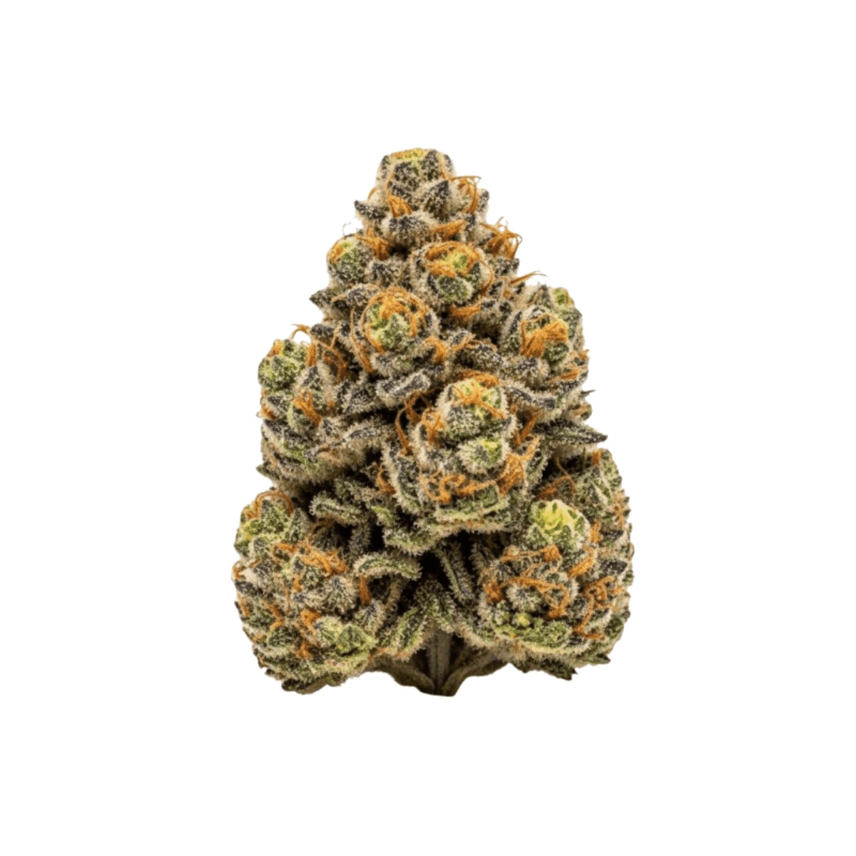 HiDealz 24/1 MS PIK - Pink Kush smalls
