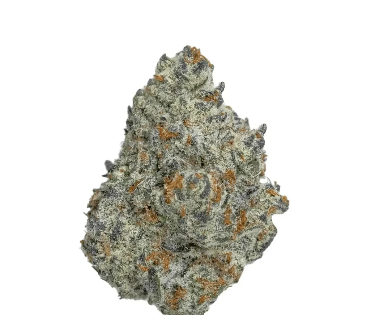 mediproCan Lunaris 19/1 - Ice Cream Cake