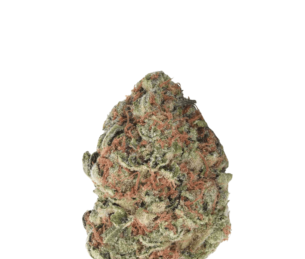 Remexian 30/1 TWE GBY - Gorilla Berry