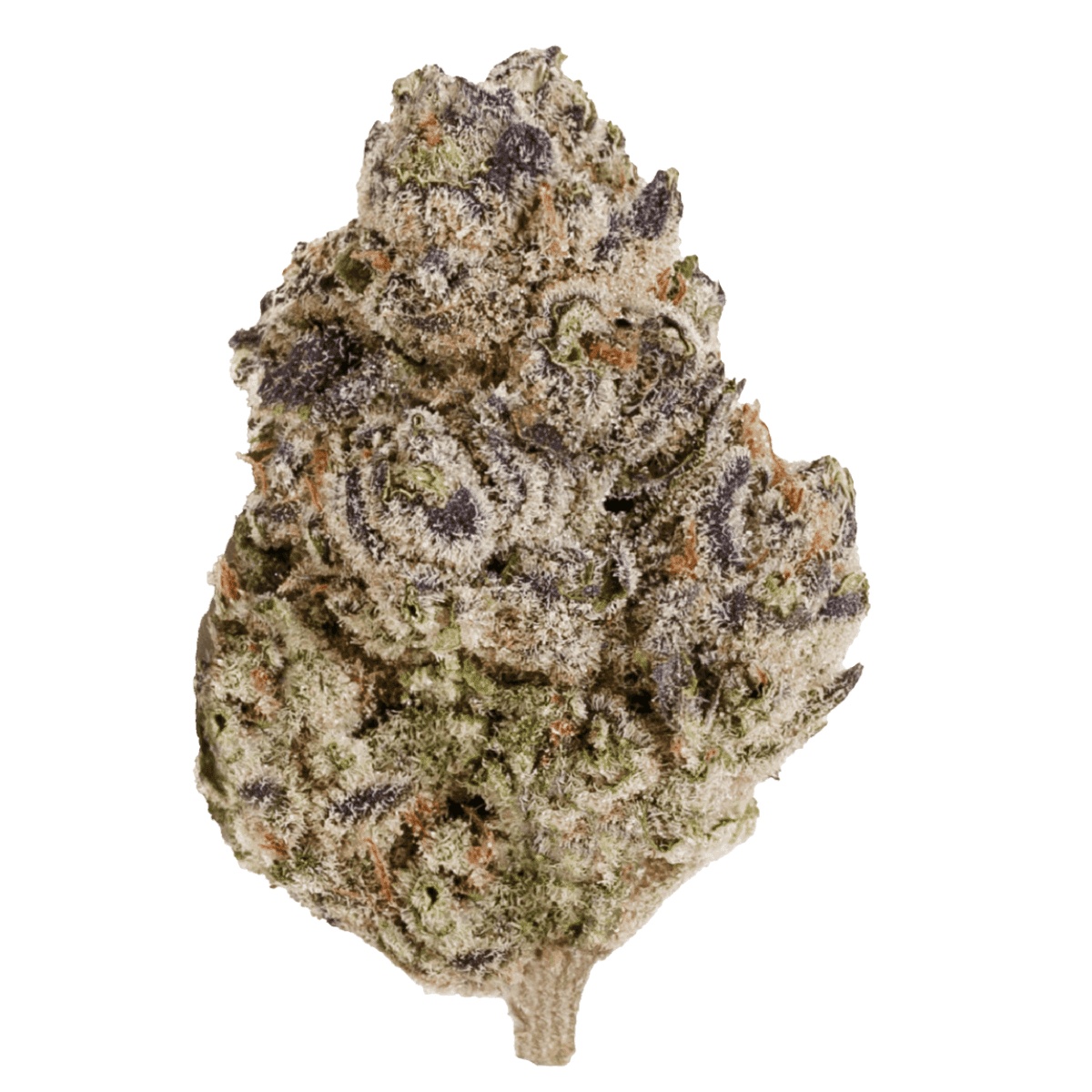 enua 25/1 PS3 CA BCP - Black Cherry Punch