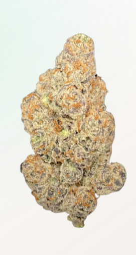 LIGHV Trials 26/1 BBL - Blueberry Banana Lobster LIGHV Trials 26/1 BBL - Blueberry Banana Lobster