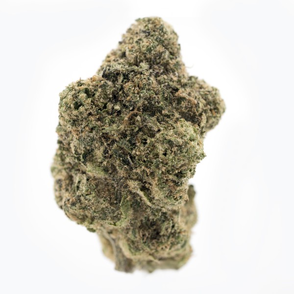 Demecan CRAFT Magister 24:01 BM - Black Marker