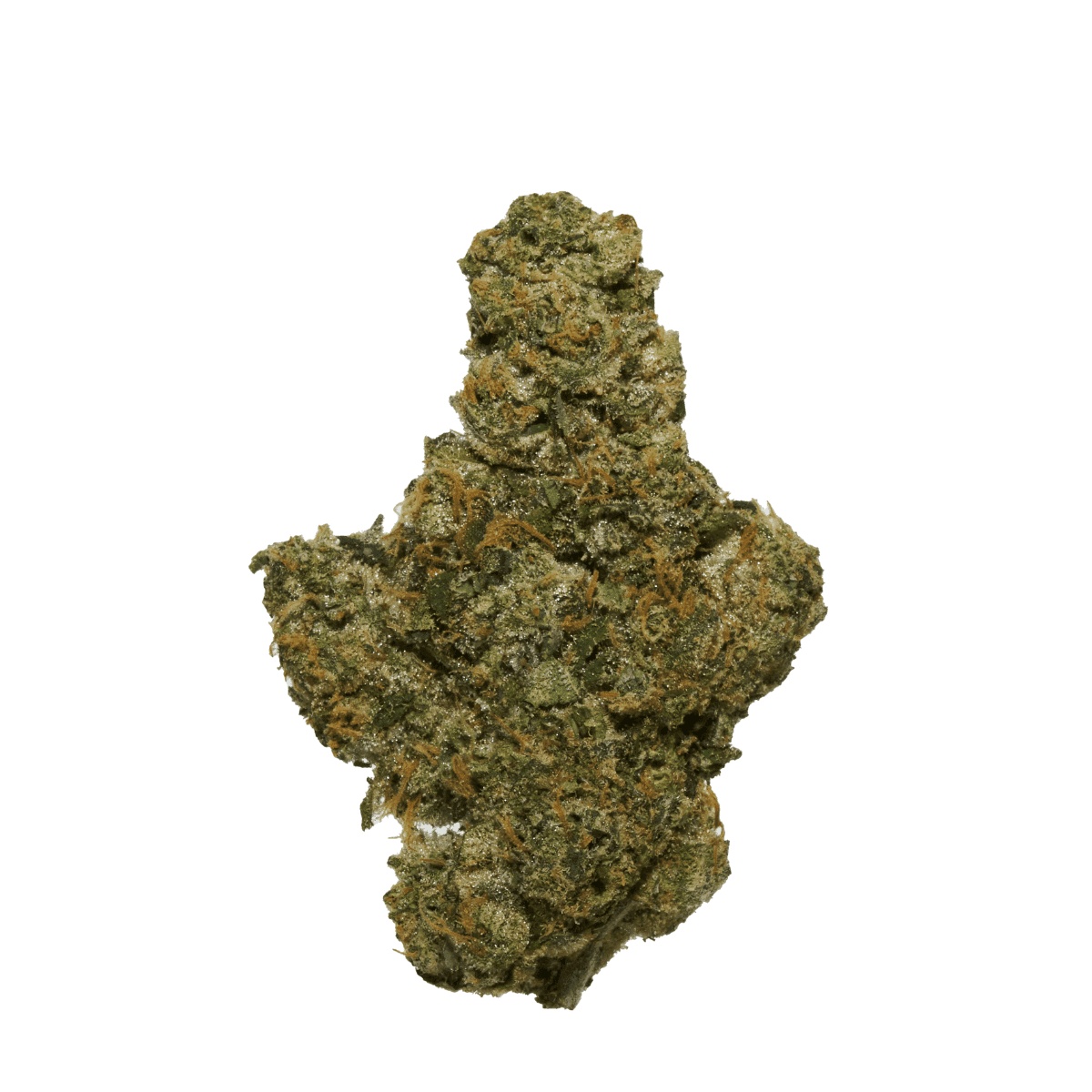 Bathera 20/1 PMM Permanent Midnight