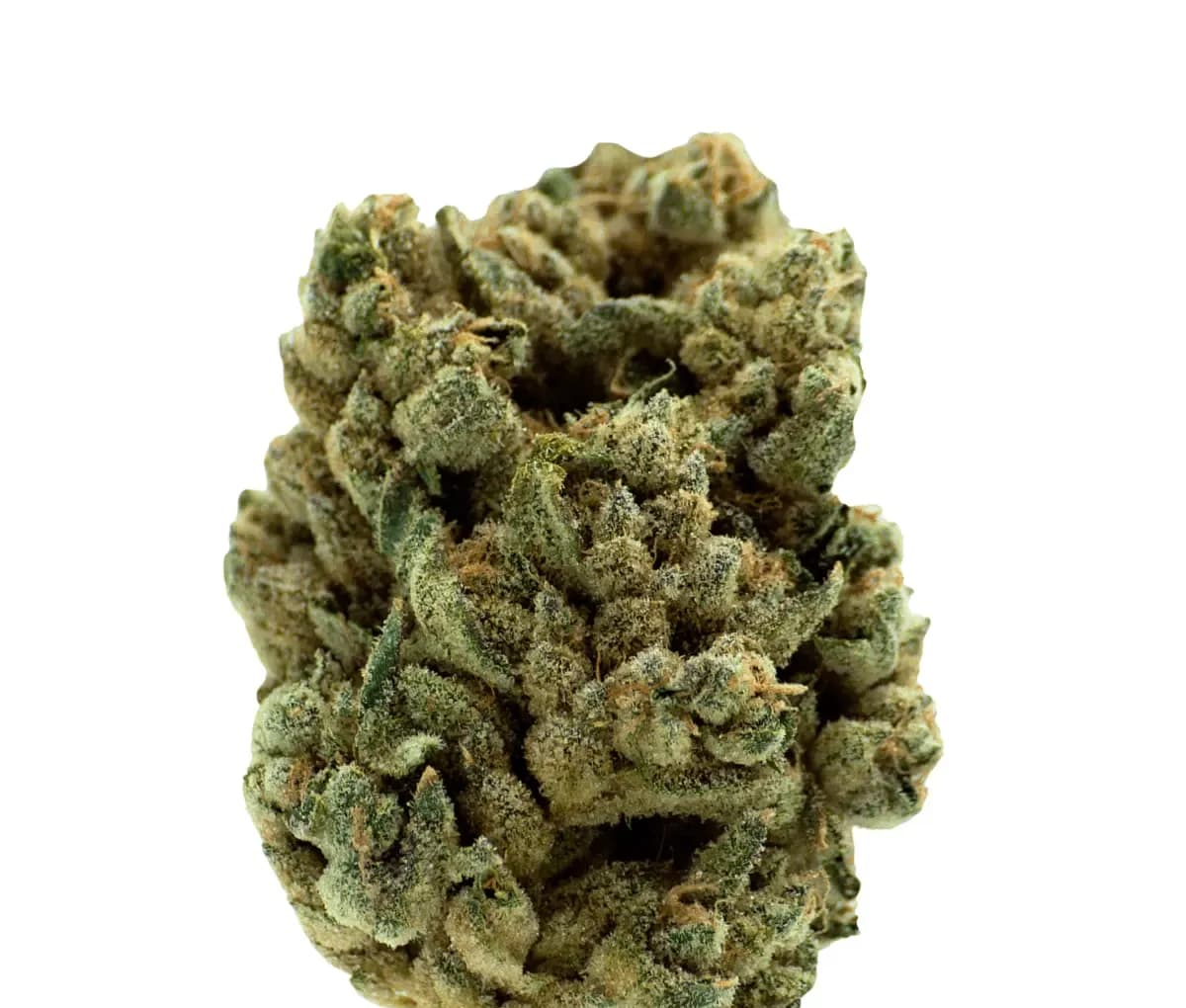 Remexian 33/1 MTL JUC - Jungl's Cake Remexian 33/1 MTL JUC - Jungl's Cake