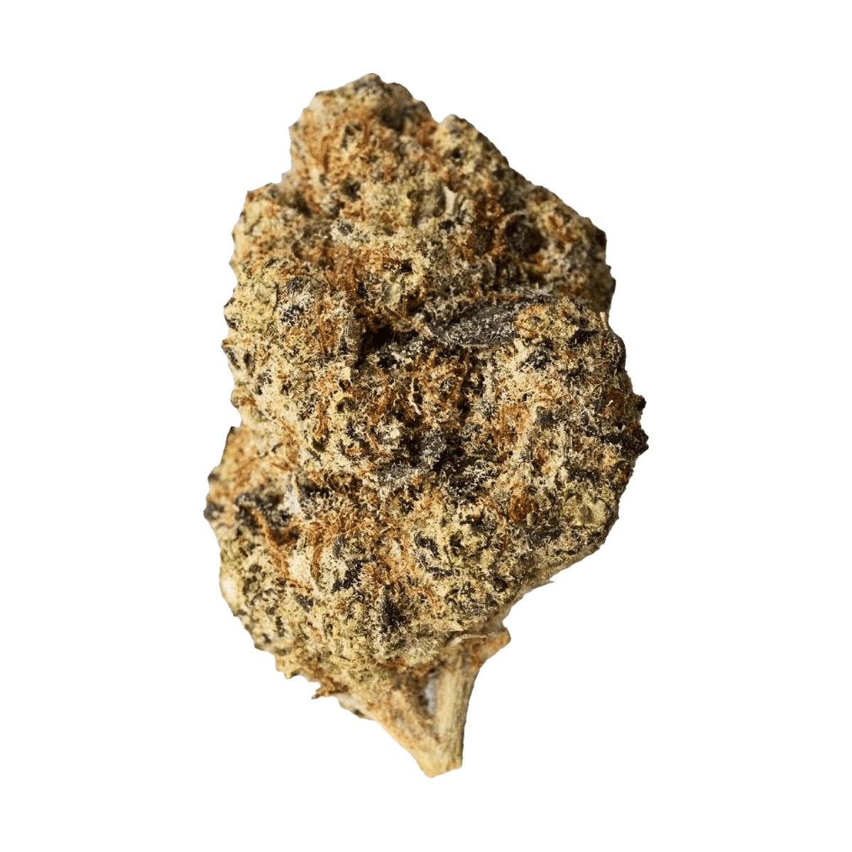 30/1 Amici BR - Blueberry Runtz