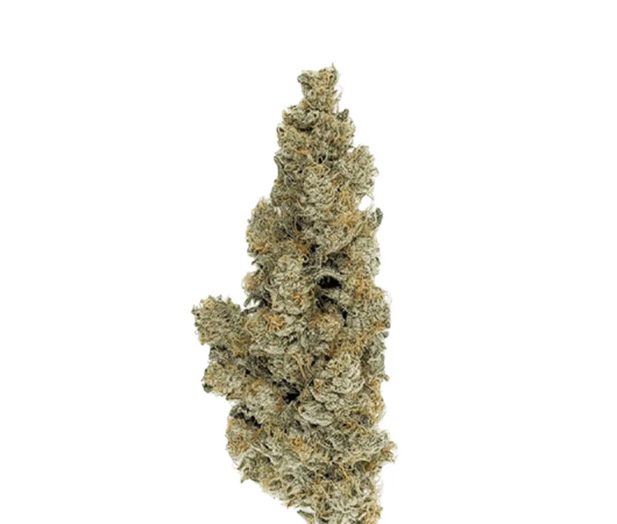 420 Evolution 30/1 CA ICC - Ice Cream Cake x Kush Mints