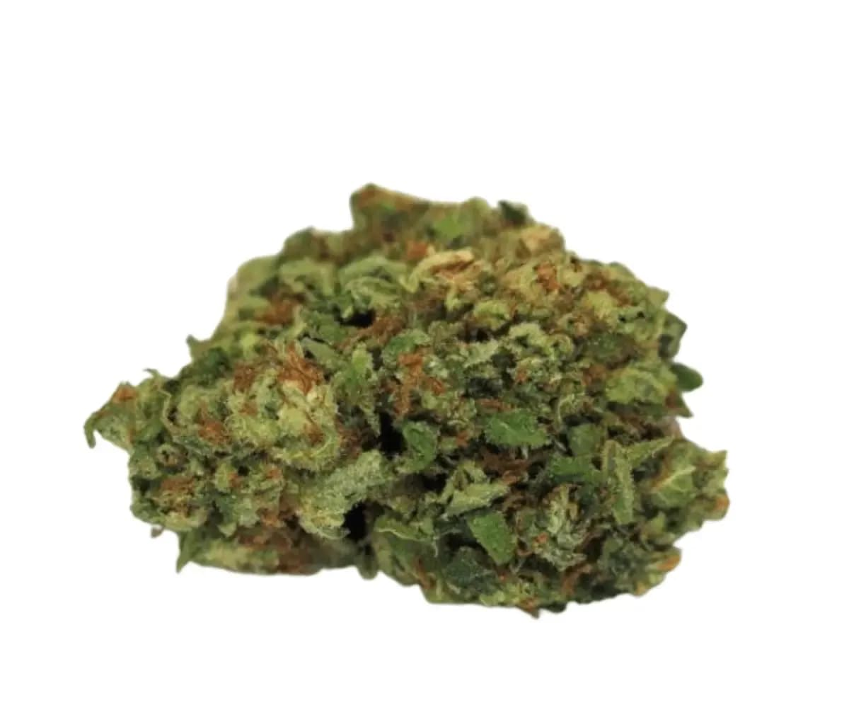 madrecan 21/1 DGV - Dougs Varin