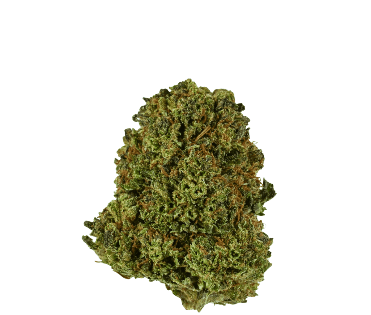 Adrex 22 CKD CAN Cookie Dough