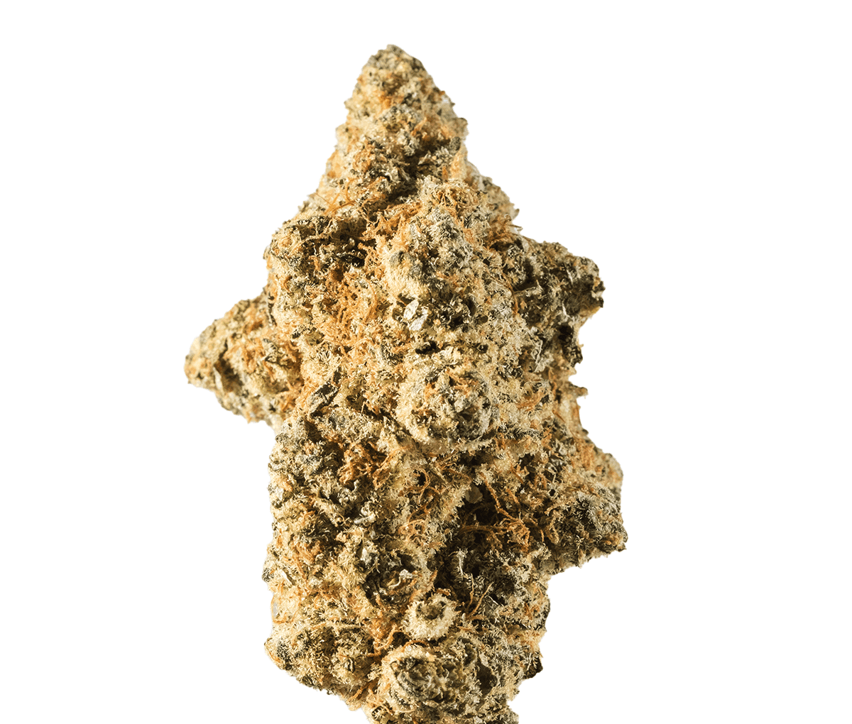 Avaay Signature 28/1 WB - Waffle Bites