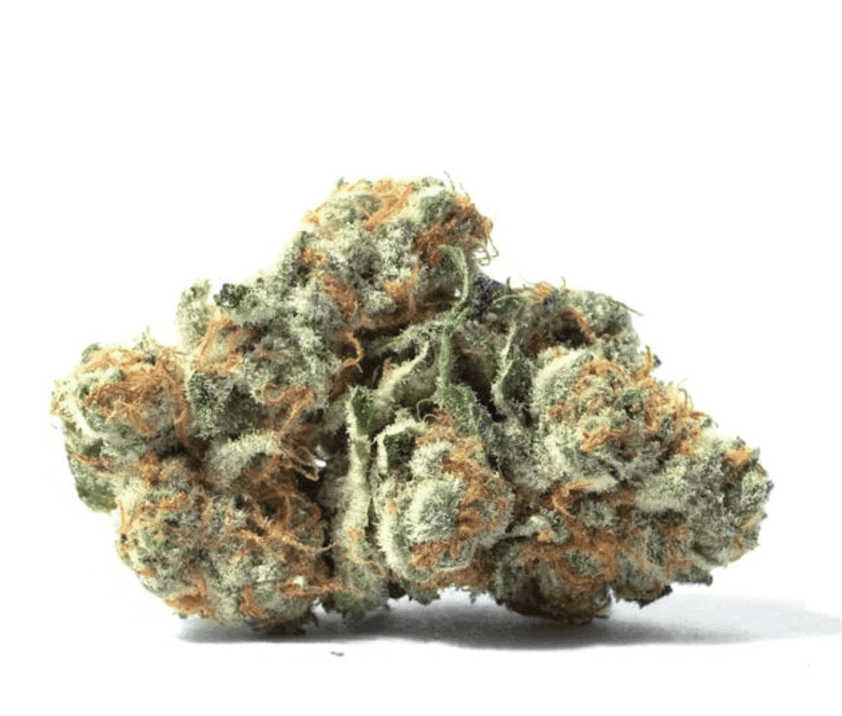 Beacon LI T26 - Liquid Imagination Beacon LI T26 - Liquid Imagination