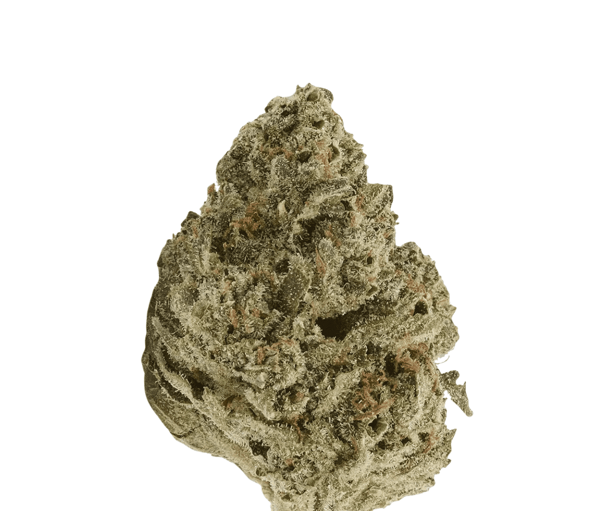 Demecan Craft Pulso 31:01 - Liquid Imagination Demecan Craft Pulso 31:01 - Liquid Imagination