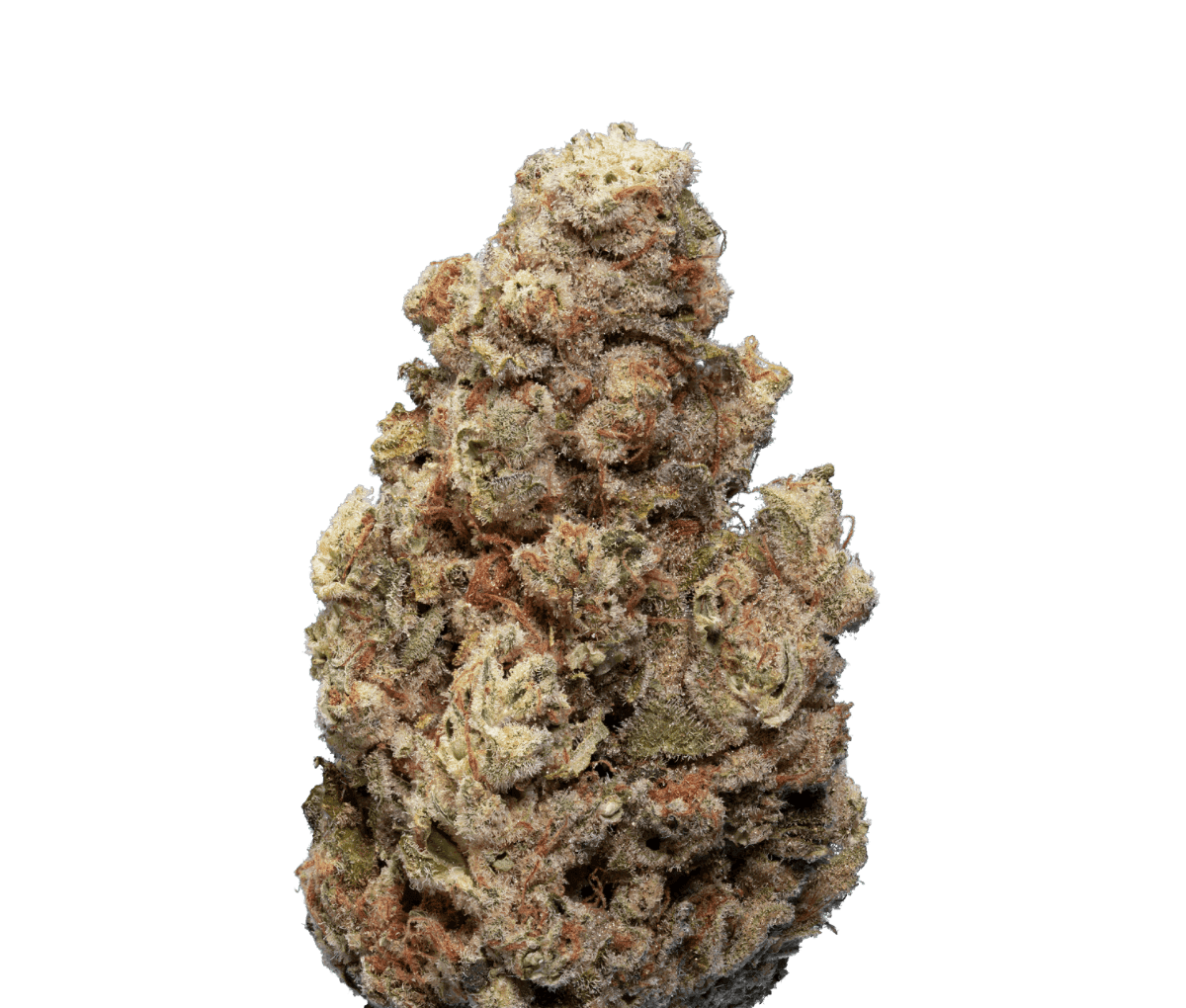  Enua 27/1 CCK CA [Cold Creek Kush]
