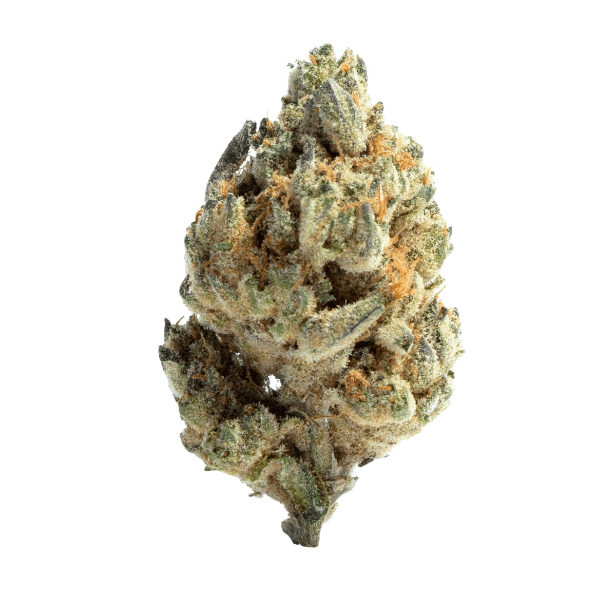 NICE 29/1 LP - Lotus Punch NICE 29/1 LP - Lotus Punch