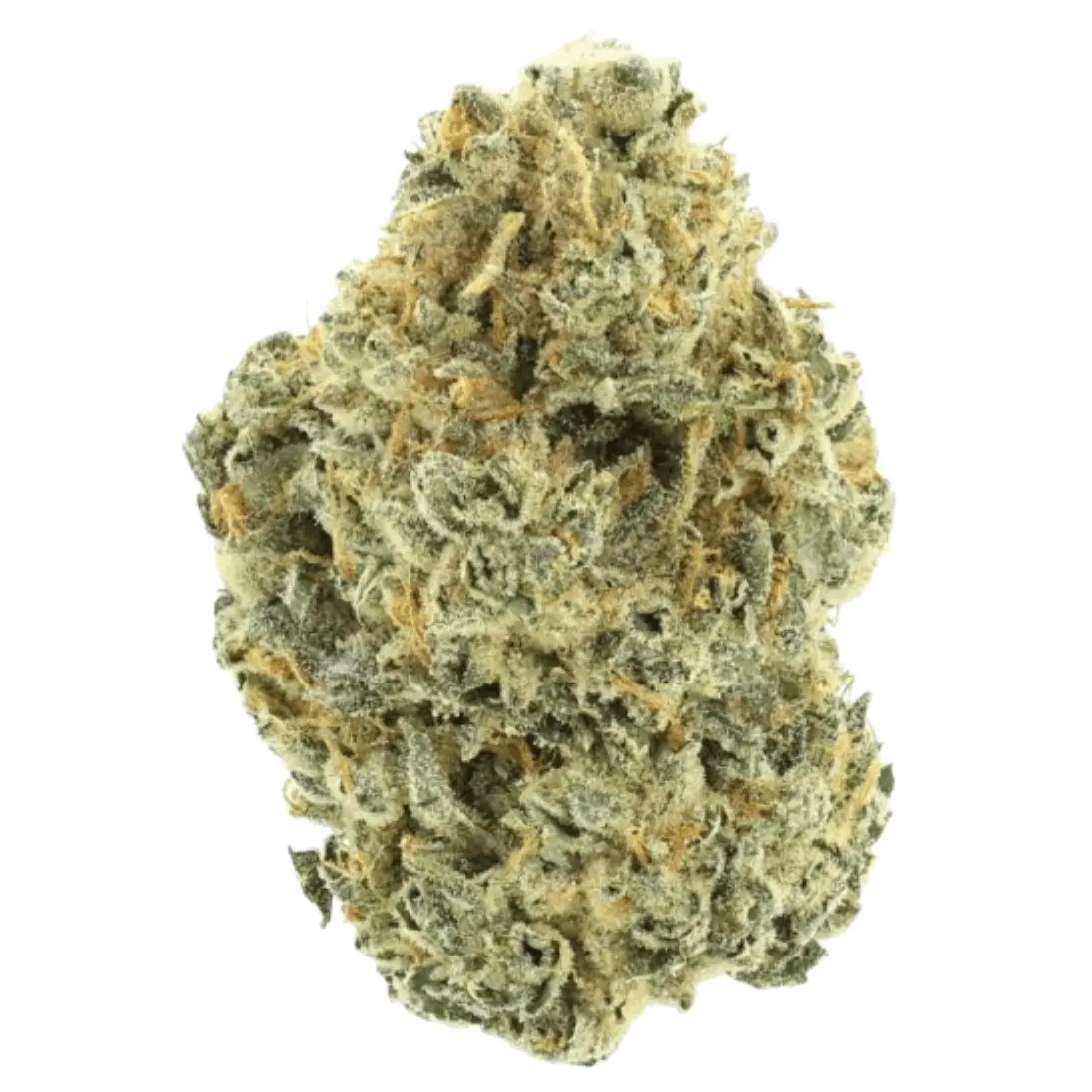 30/1 AMICI Cannabisblüten TR - Tropical Reign