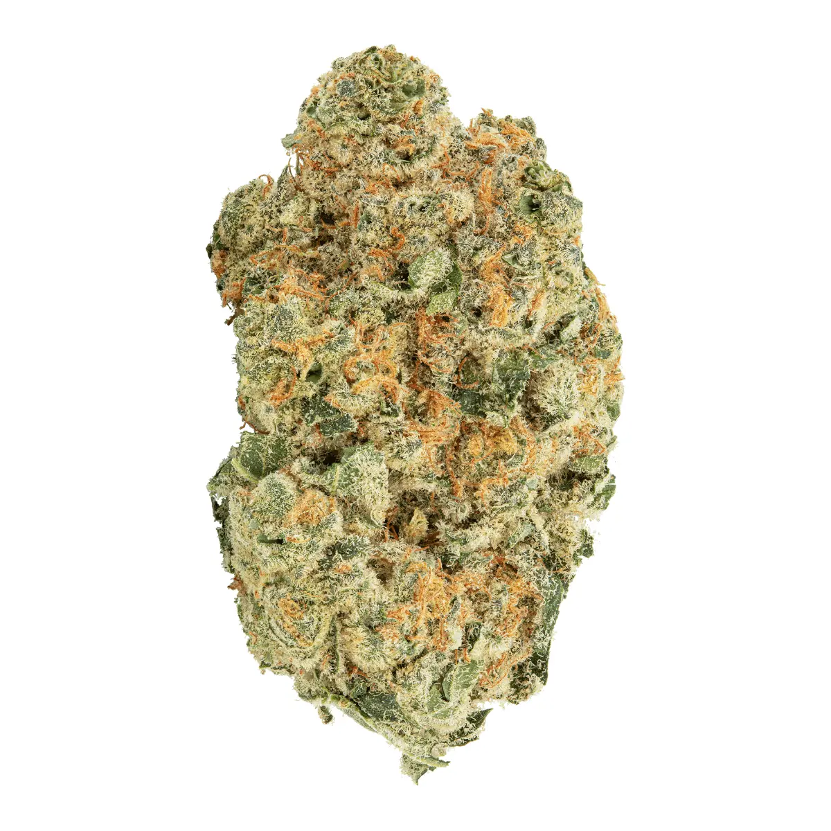 avaay 30/1 MIM - Midnight Mimosa