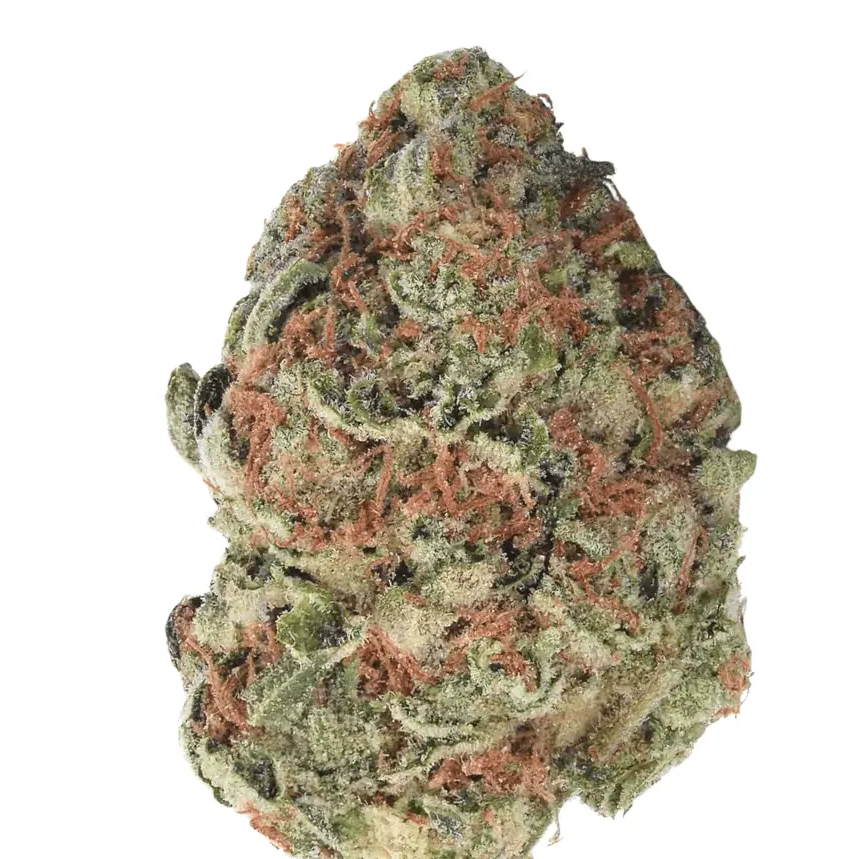 Remexian 30/1 TWE GBY - Gorilla Berry