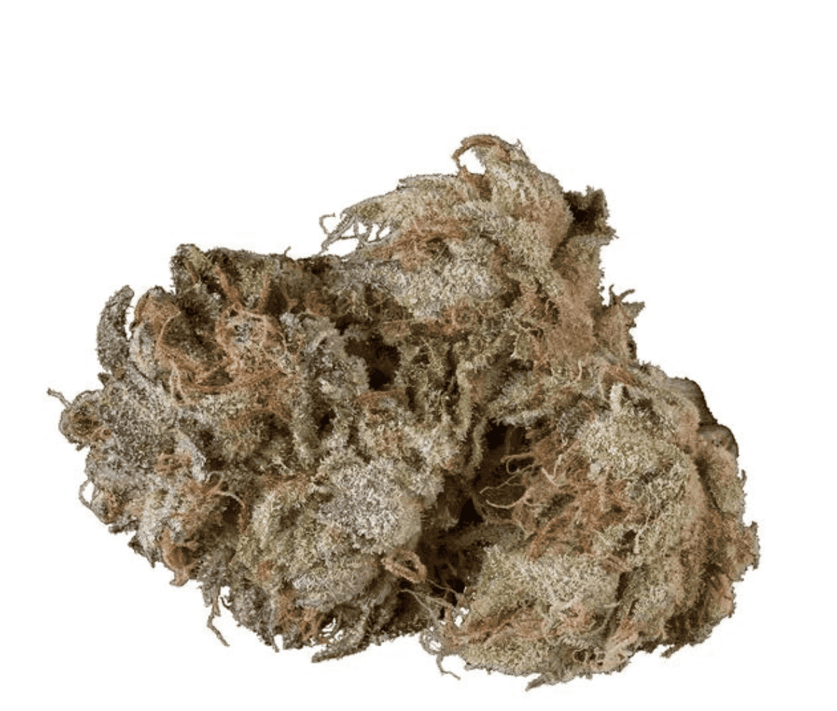 Materia 8BK 30/1 - 8 Ball Kush Materia 8BK 30/1 - 8 Ball Kush