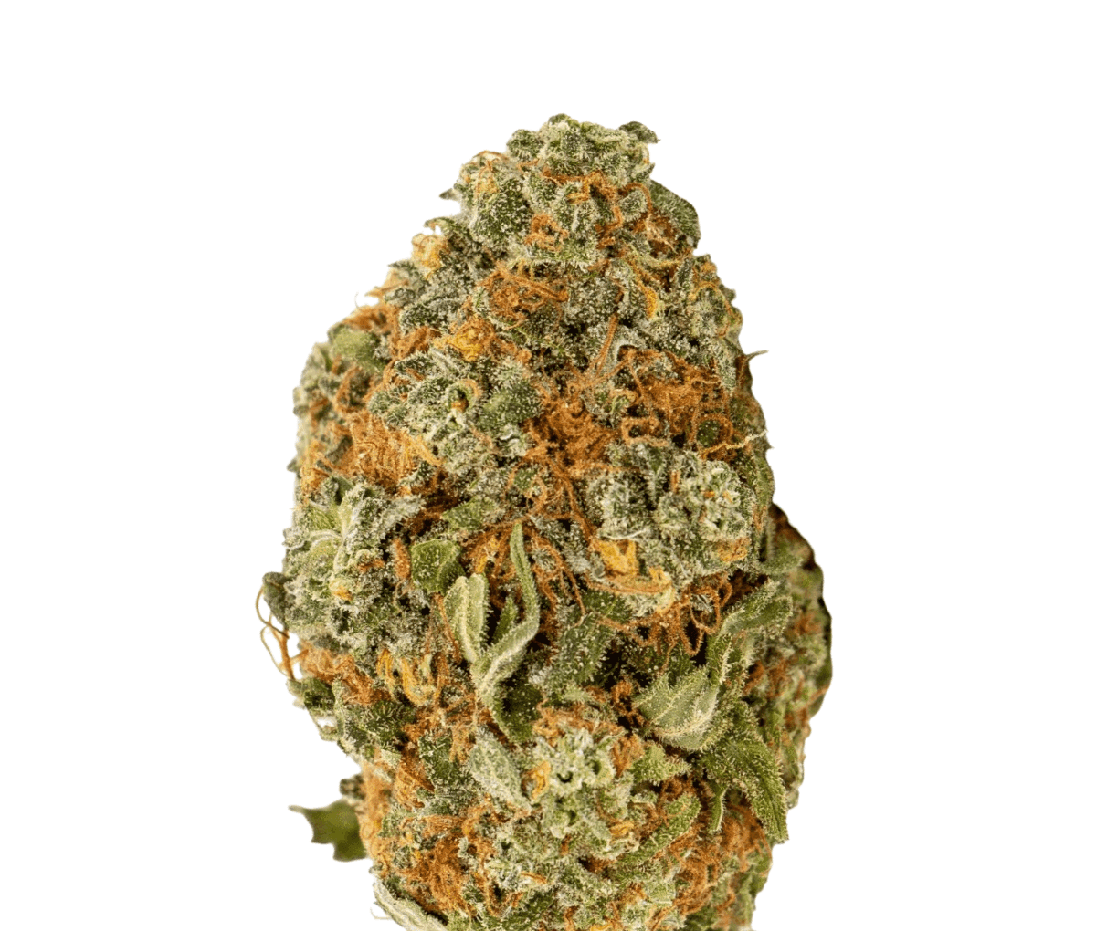 NICE 28/1 LK - Lemon Kush