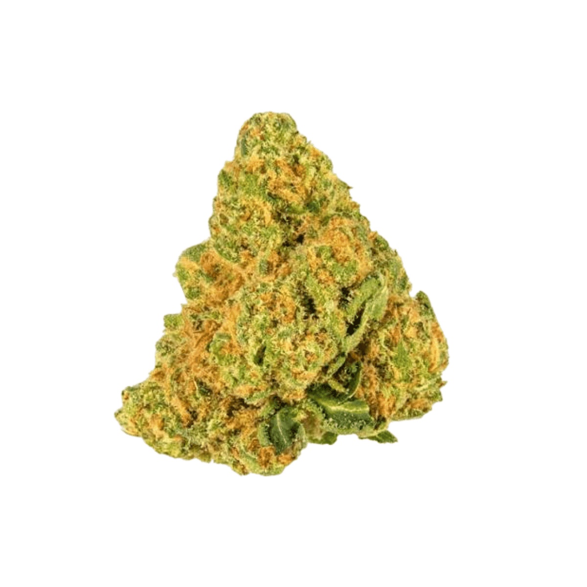 Amici 29/1 SLE - Sour Lemon OG