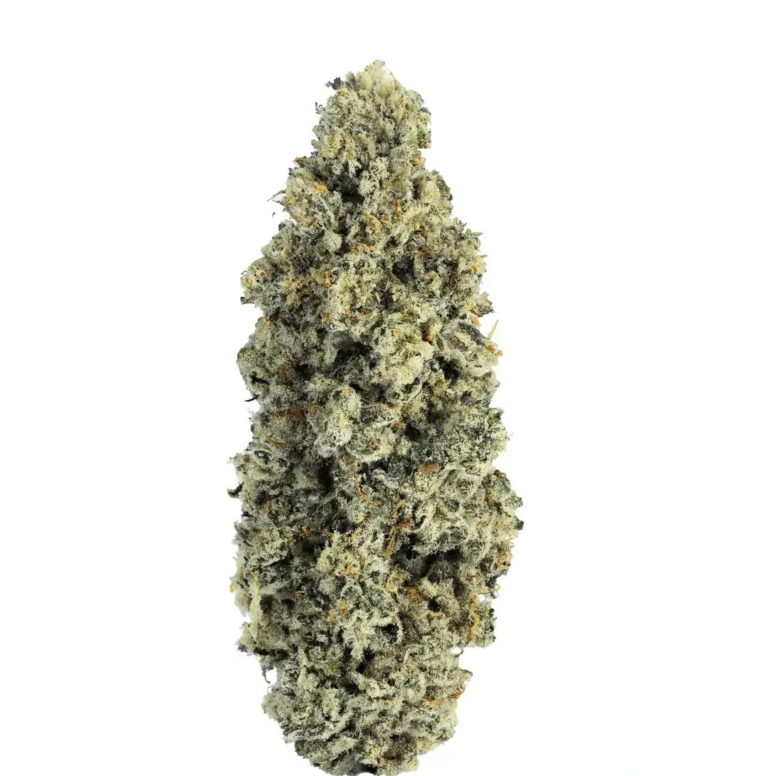 SOMA OG 34/1 PF CAP Junky