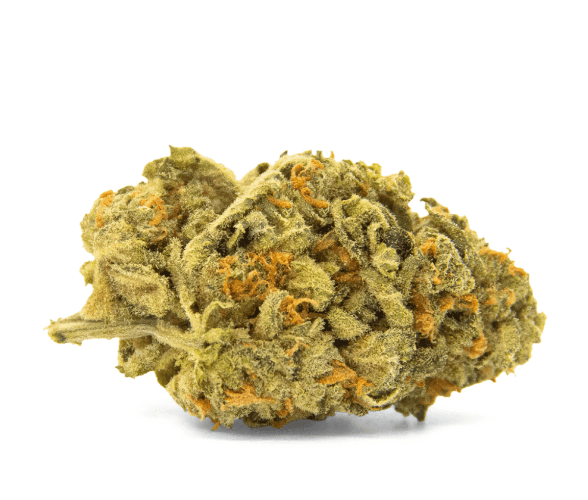 N!CE Cannabisblüten 25/1 RAM [Rainbow Amnesia]